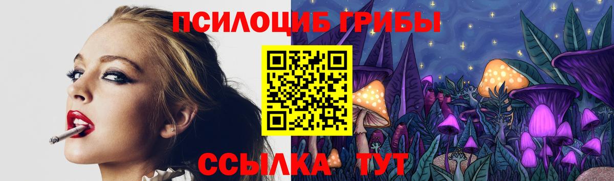 Бийск  Галлюциногенные грибы прущие грибы  Вход с VPN 
