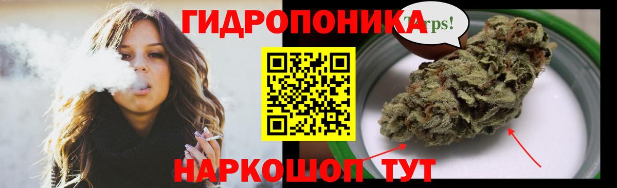 Канабис гибрид  Канабис Bruce Banner  Вход с VPN  Каннабис семена  Бийск  Шишки марихуана сатива 